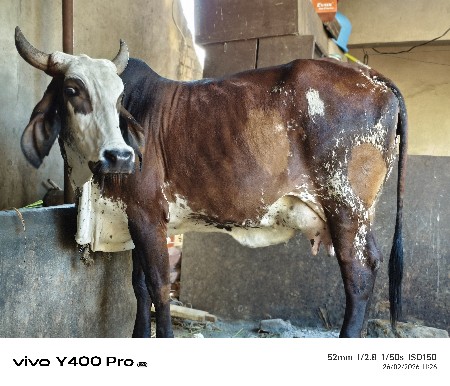 थंबनेल 2