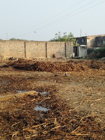 પ્યોર છાણીયો ખાતર