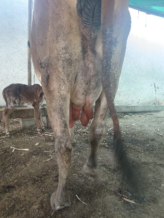 થંબનેલ 3