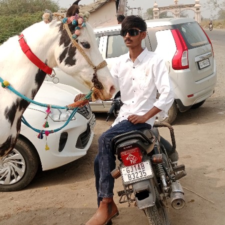 थंबनेल 2