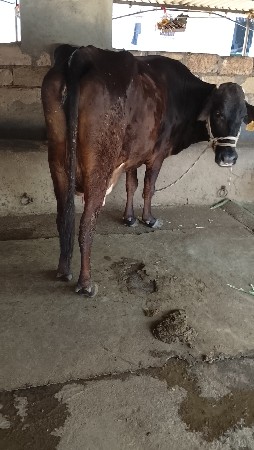 थंबनेल 5