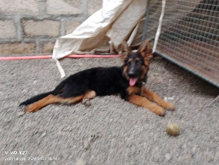 थंबनेल 3