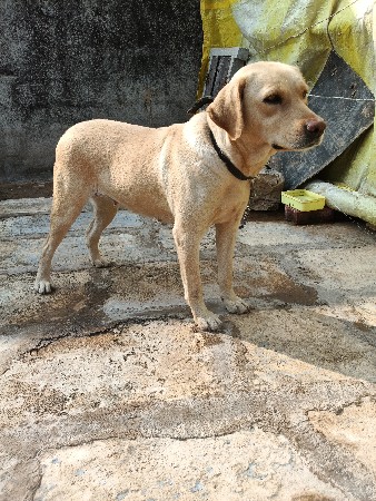 थंबनेल 3