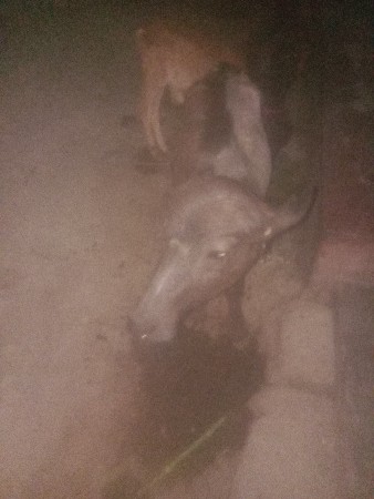 થંબનેલ 2