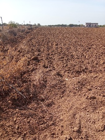 પોરબંદર રાણાવાવ કુતિયાણા