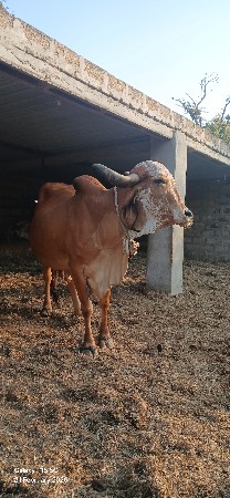 थंबनेल 2