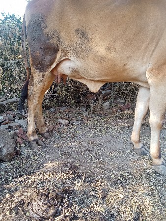 थंबनेल 3