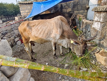 थंबनेल 2