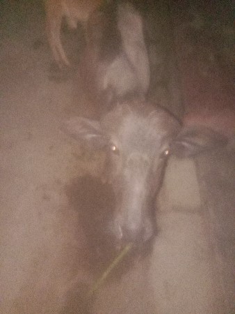 થંબનેલ 3