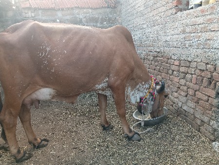 थंबनेल 3