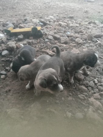 थंबनेल 2