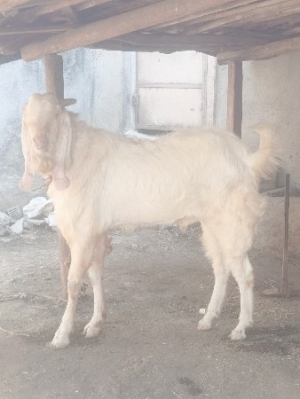 थंबनेल 2