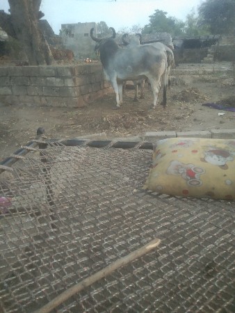 थंबनेल 3