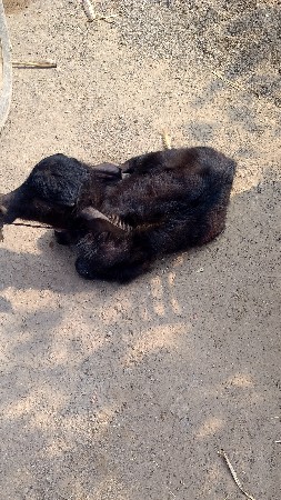 थंबनेल 2