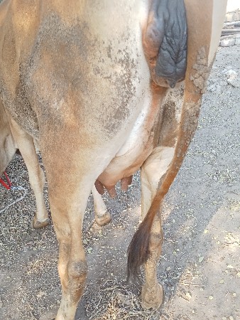 थंबनेल 2