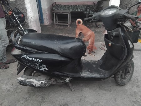 थंबनेल 3