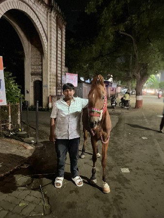 थंबनेल 3