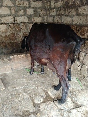 थंबनेल 2