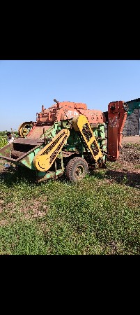 જંગીરનું થેસર વેચવાનો