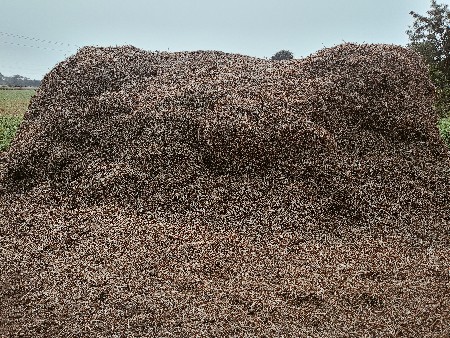 G-20 નો ચારો વેચવાનો છે.