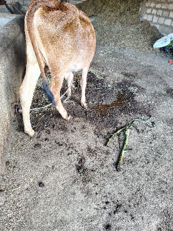 थंबनेल 2