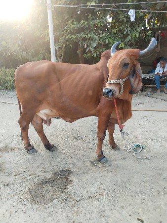 थंबनेल 3