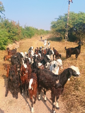 થંબનેલ 2