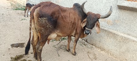 थंबनेल 2