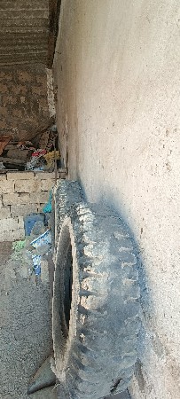 थंबनेल 2