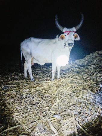 थंबनेल 3