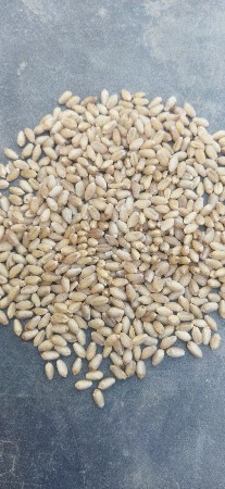 ટુકડા ઘવ વેચવાના છે