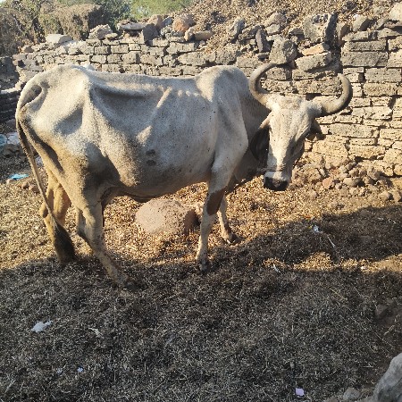 થંબનેલ 3