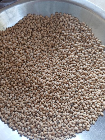 ચોરી વેચવાની છે