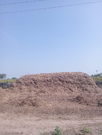 માંડવી નો ભૂકો વેચવાનો છે