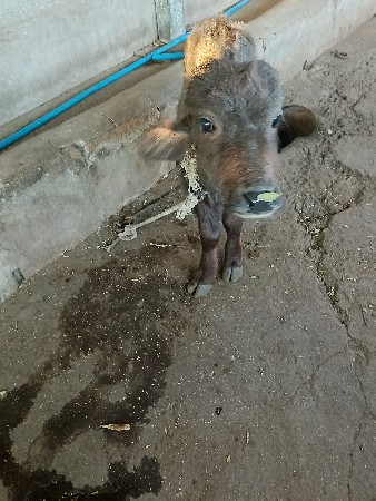 थंबनेल 2