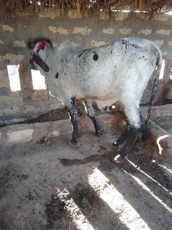 थंबनेल 2