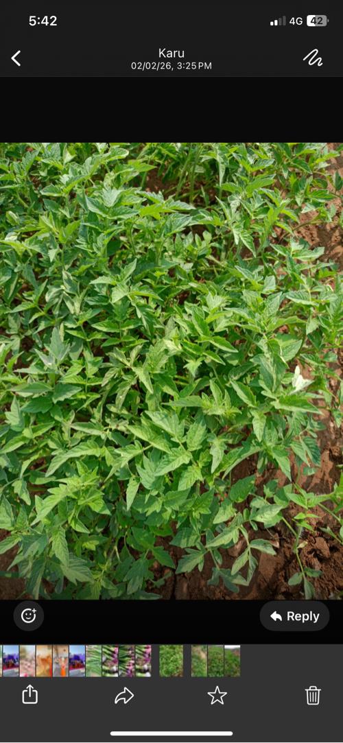 थंबनेल 2