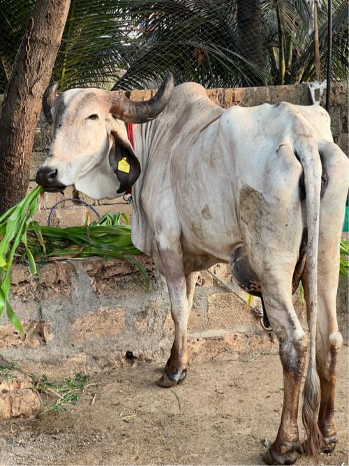 थंबनेल 2