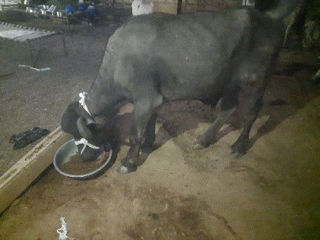 थंबनेल 2