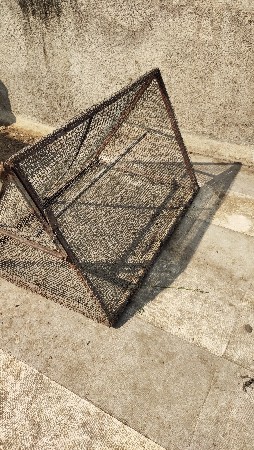 थंबनेल 3