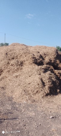 મગોટુ વેચવાનું છે