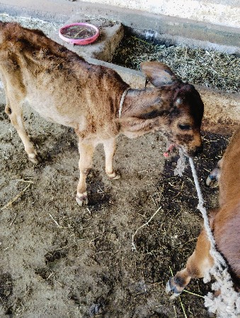 થંબનેલ 2