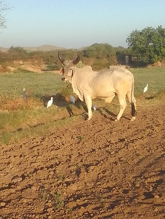 थंबनेल 3