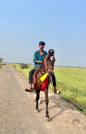 थंबनेल 2