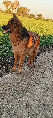 મિટિંગ માટે વેચવાનો નથી