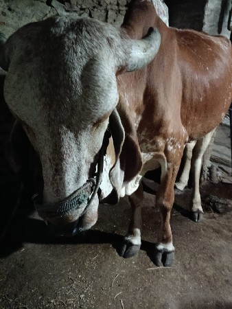 थंबनेल 3