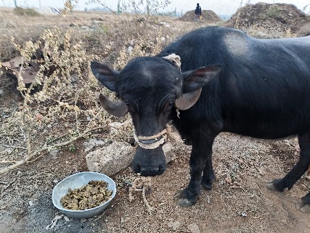 थंबनेल 2