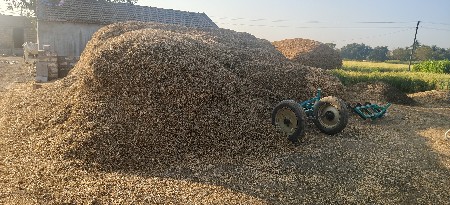 જી -૨૦ મગફળી નો પાલો વેચવાનોછે