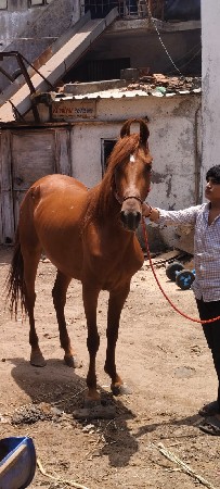 थंबनेल 2