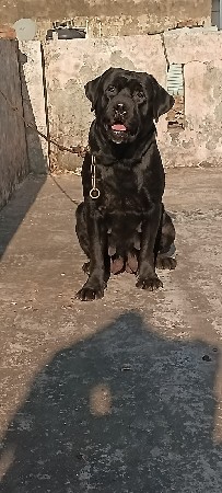 થંબનેલ 3